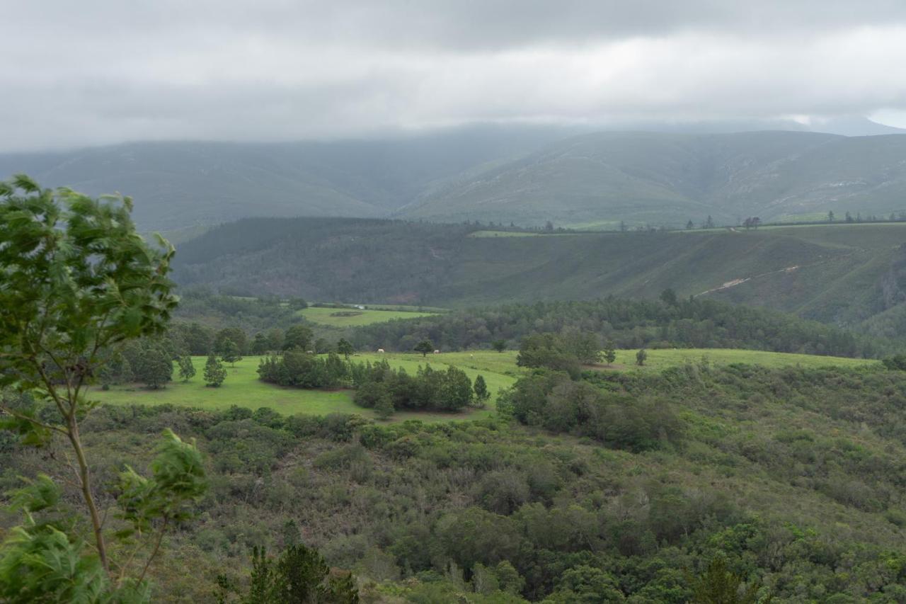 Outeniqua Moon Percheron Stud Farm Ruiterbos Exterior foto