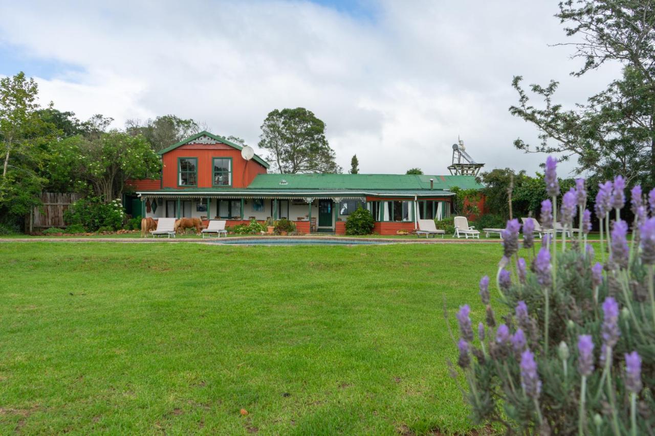 Outeniqua Moon Percheron Stud Farm Ruiterbos Exterior foto